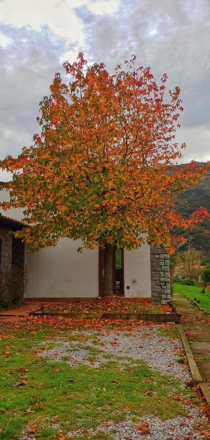 Villa La Calma De Llanes Esterno foto